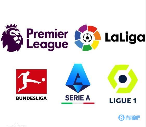 毛球选手在 毛球选手在